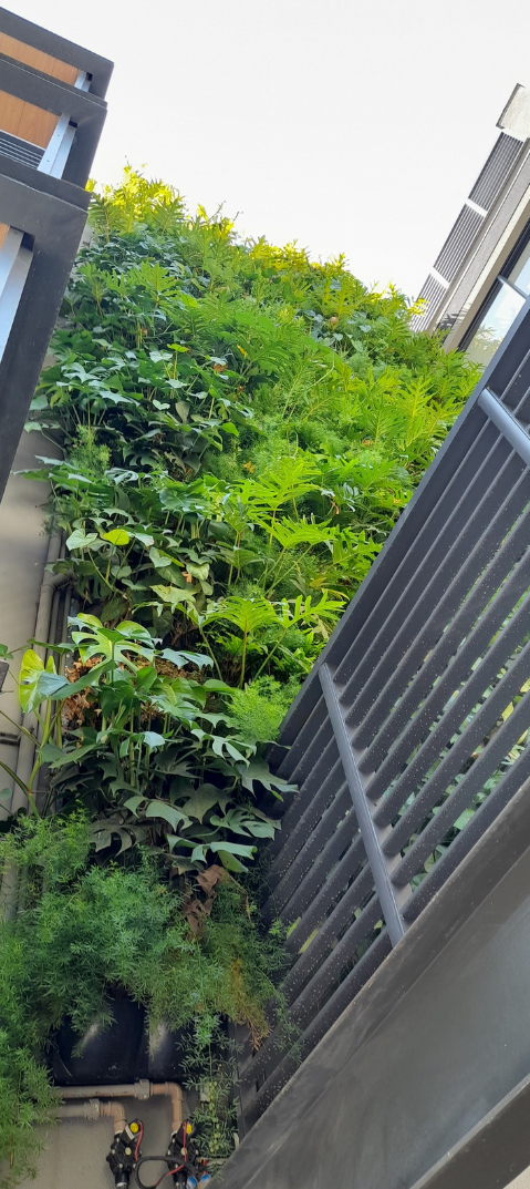 Jardim vertical_Ipanema_externo.png