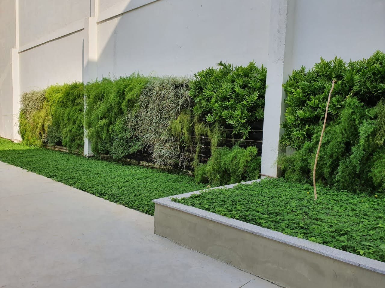 Parede Verde_Firjan_SENAI_SESI_ Maracanã 2.jpg