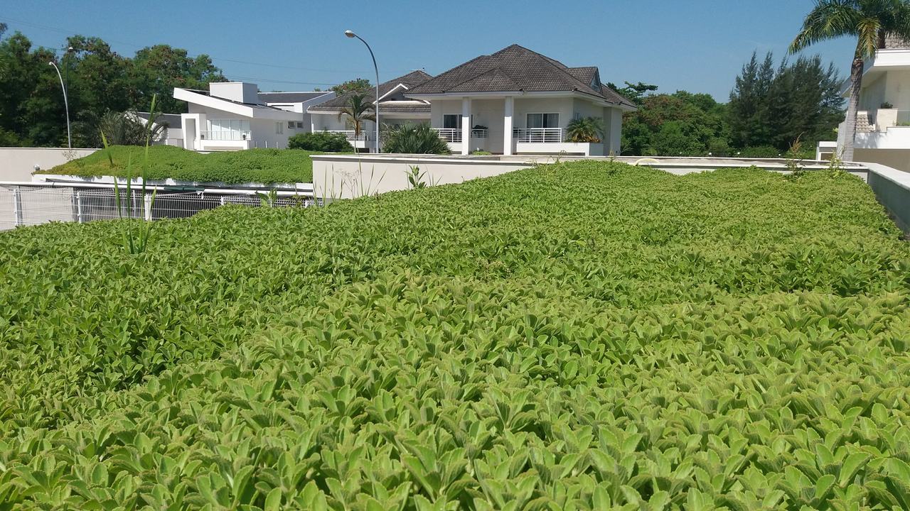 Telhado Verde Alphaville_Barra 1.jpg