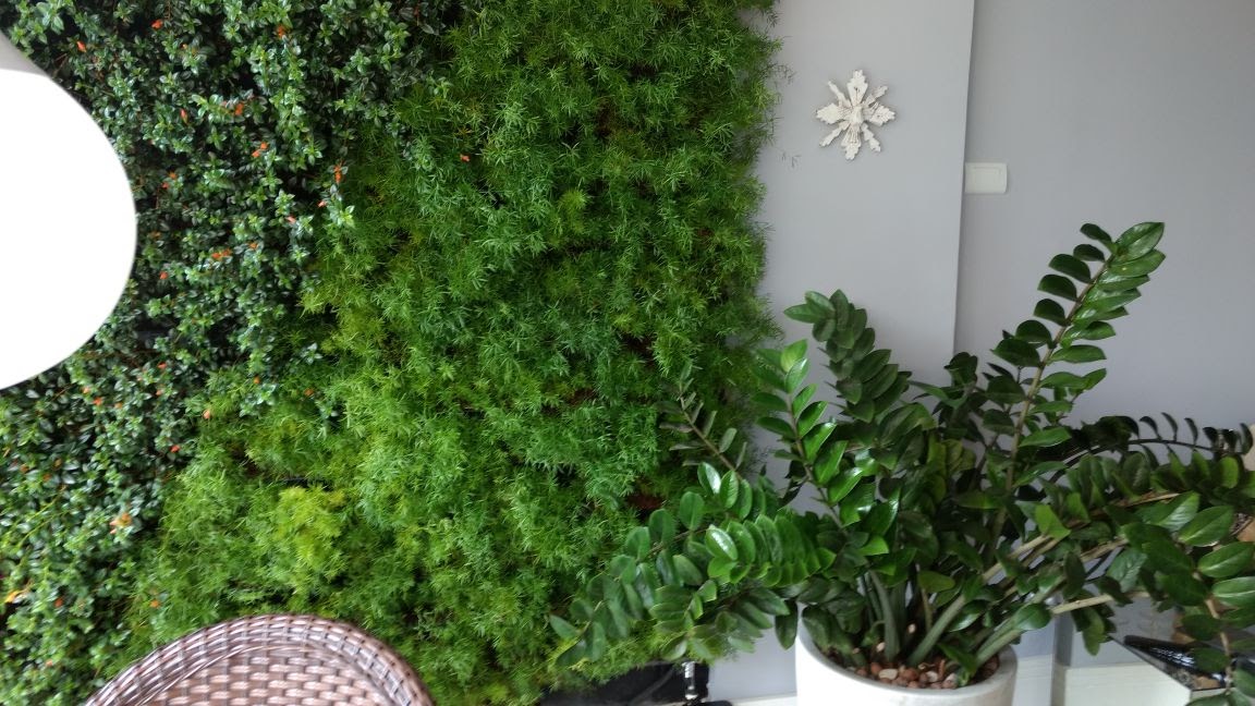 Parede Verde_Residência Cond. Riviera dei Fiori_Barra 8.jpg