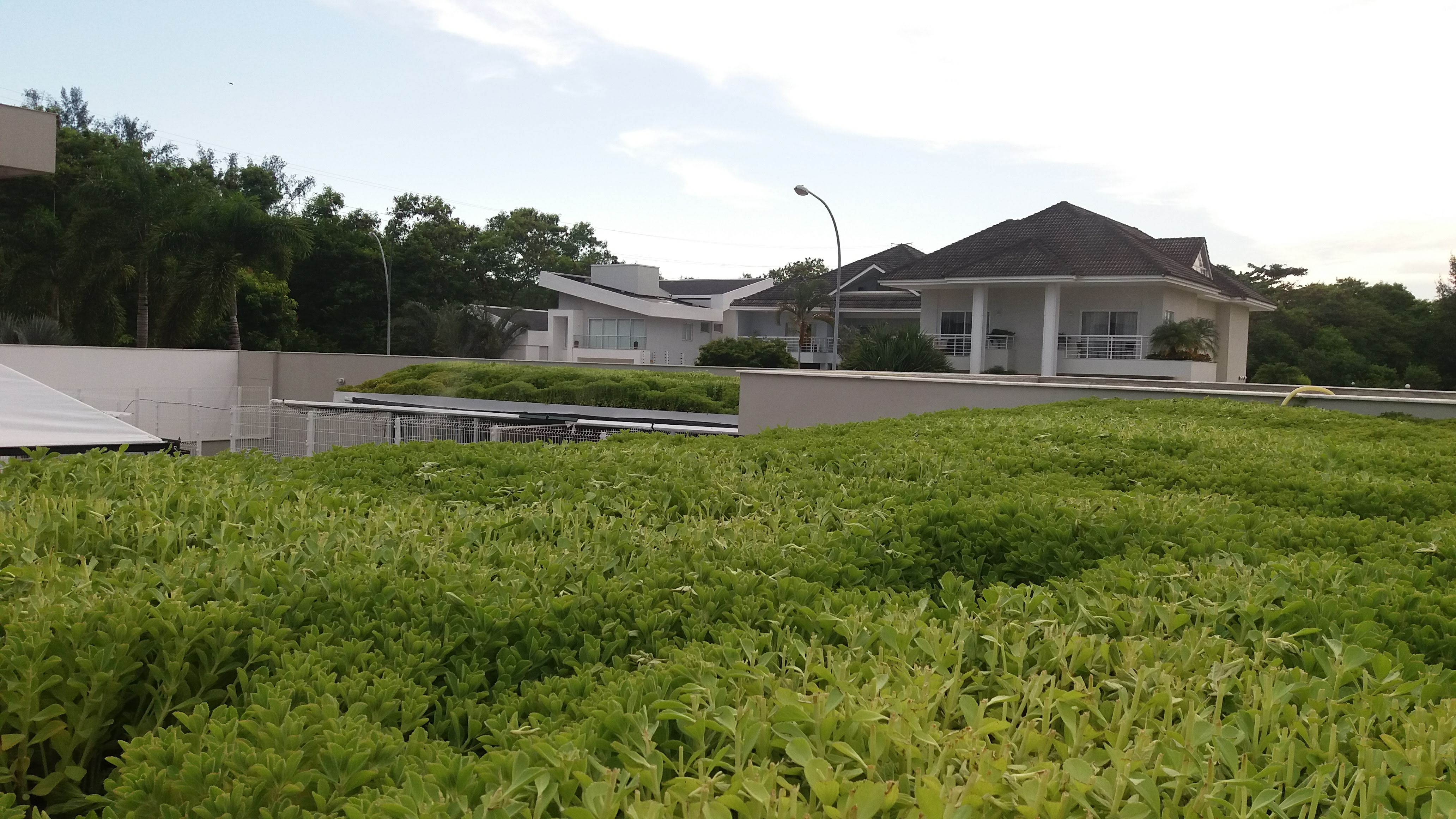 Telhado Verde Alphaville_Barra 3.jpg