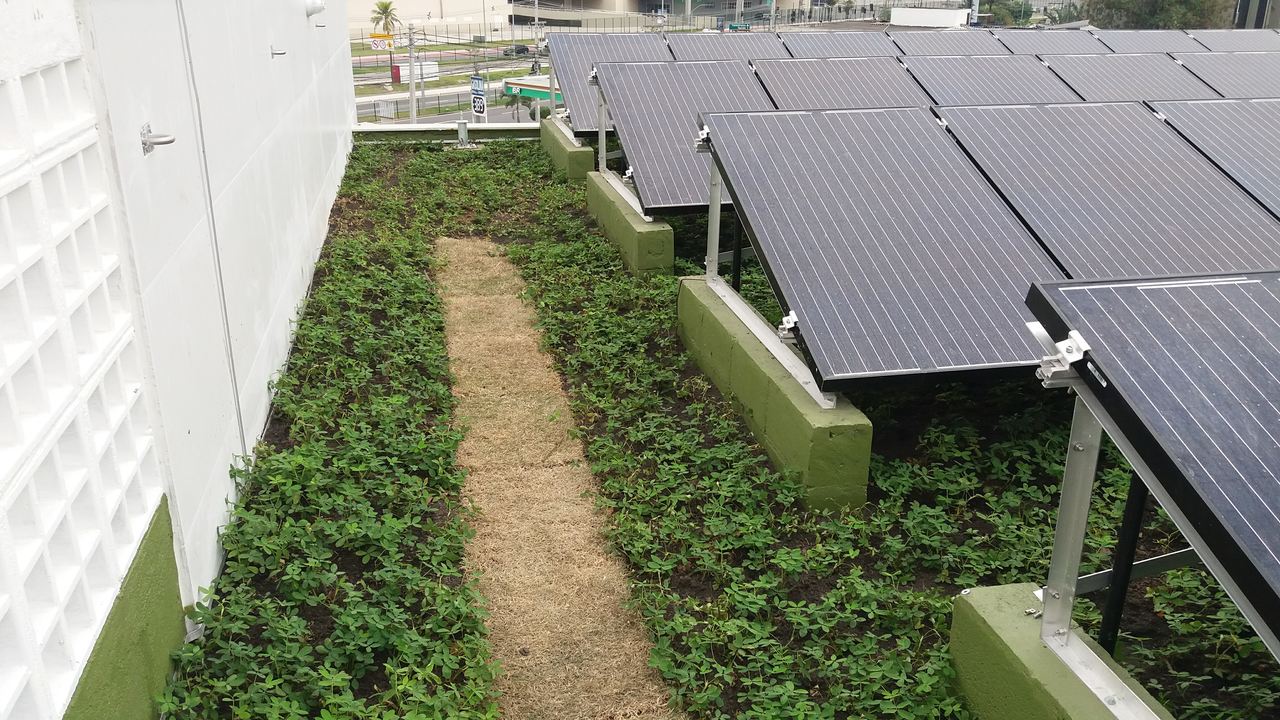 Telhado Verde BRASAS_Barra 5.jpg