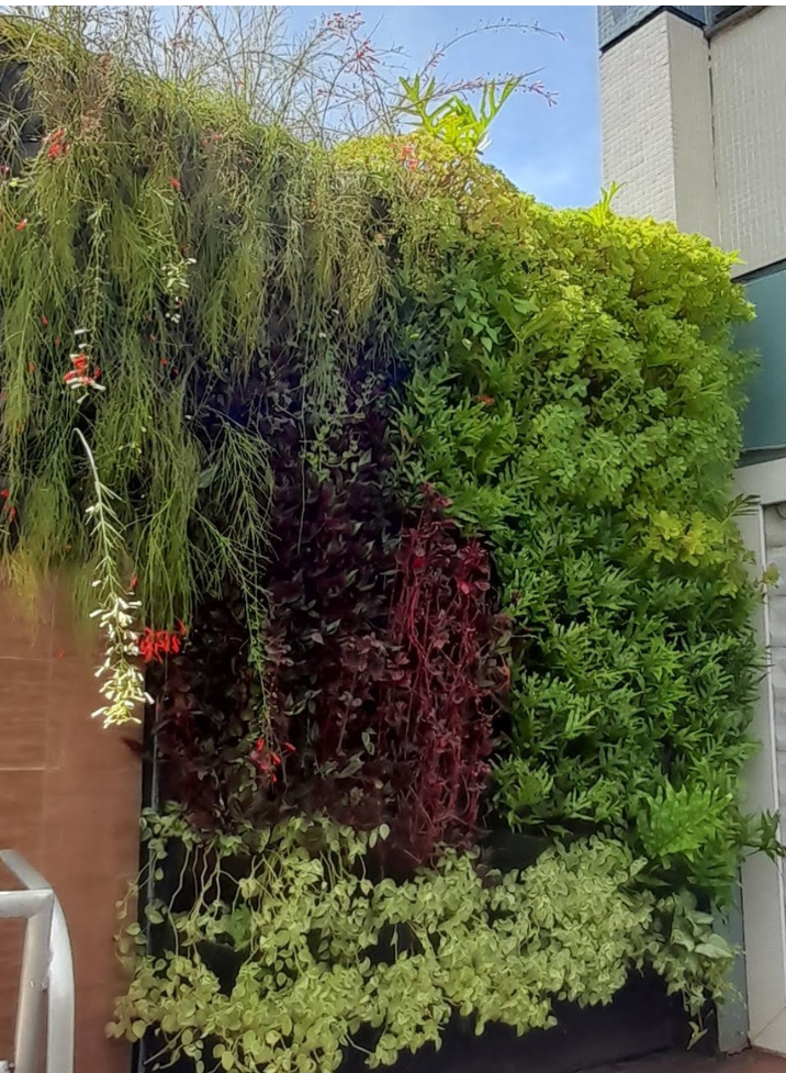 Jardim vertical_Santa Rosa.png