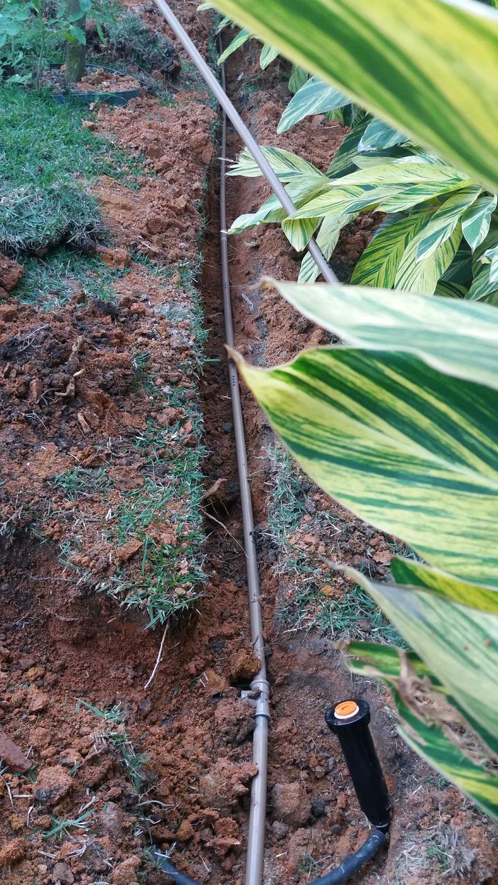 Irrigação_Jardim Guanabara 4.jpg