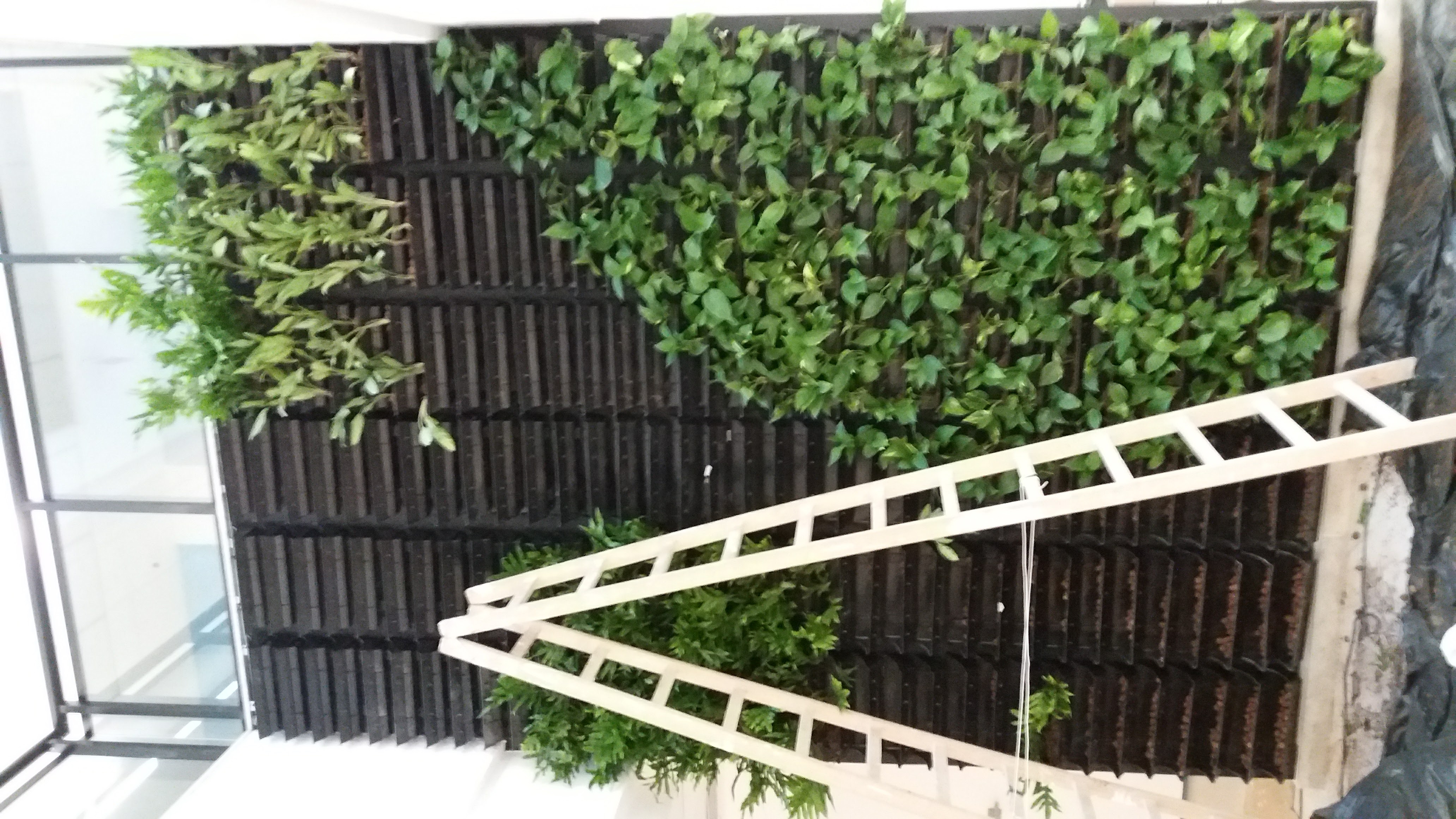 Parede Verde_Fundação Getúlio Vargas 3.jpg