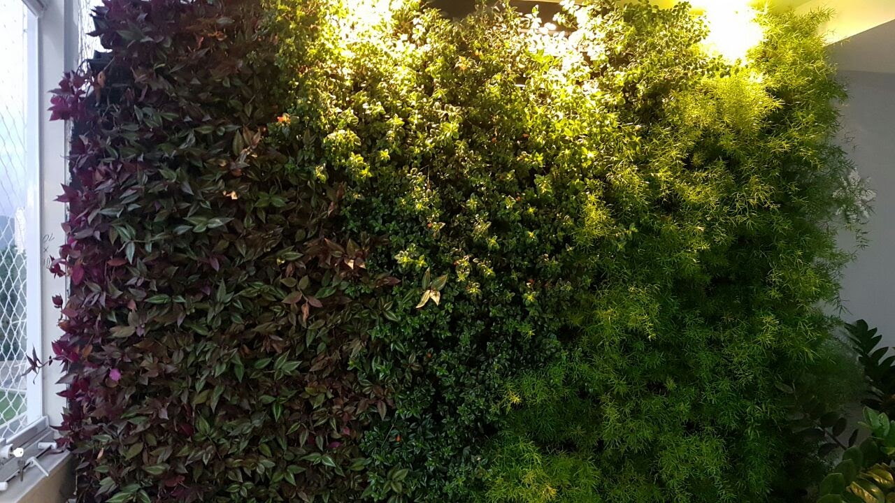 Parede Verde_Residência Cond. Riviera dei Fiori_Barra 5.jpg