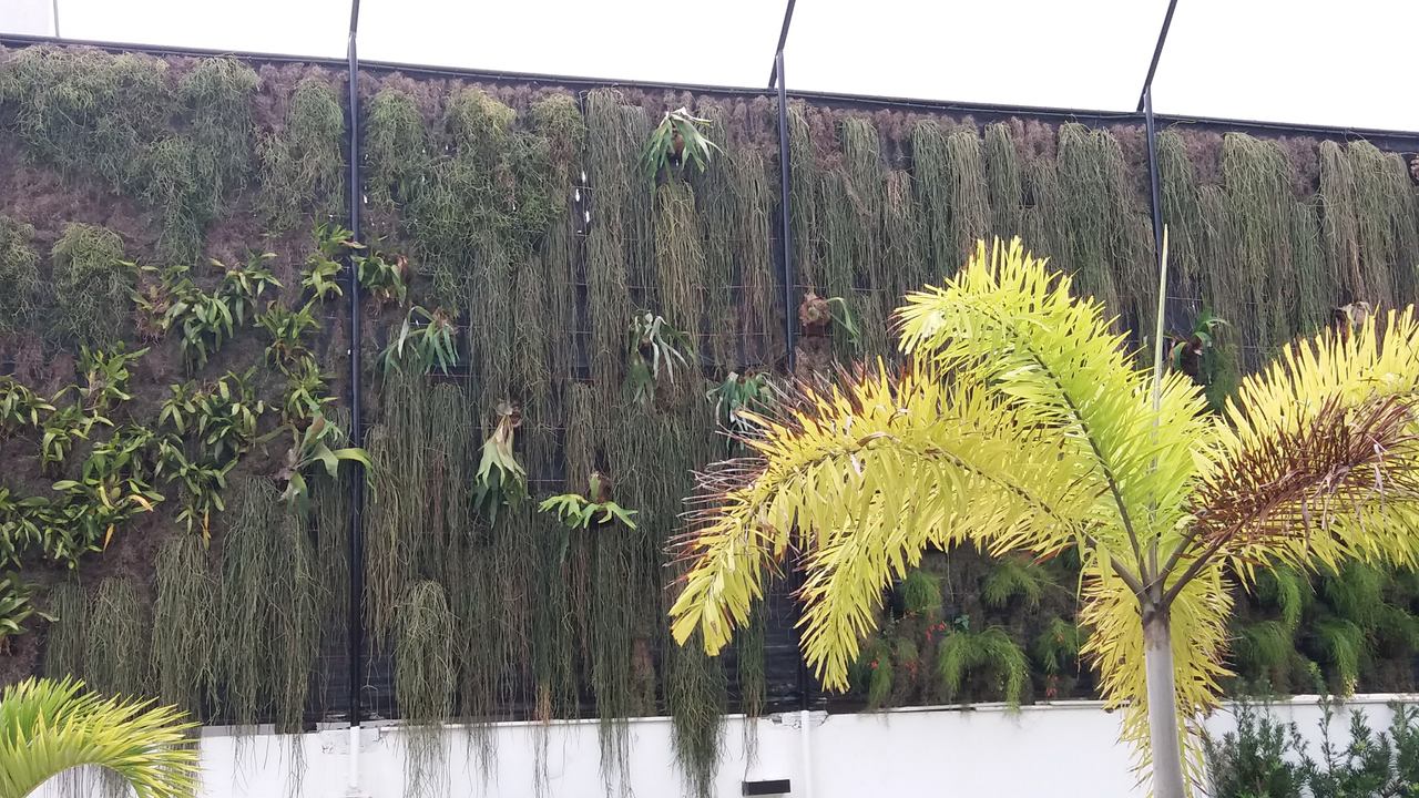 Parede Verde_Residência Cond. Lagoa Mar Sul_Barra 5.jpg