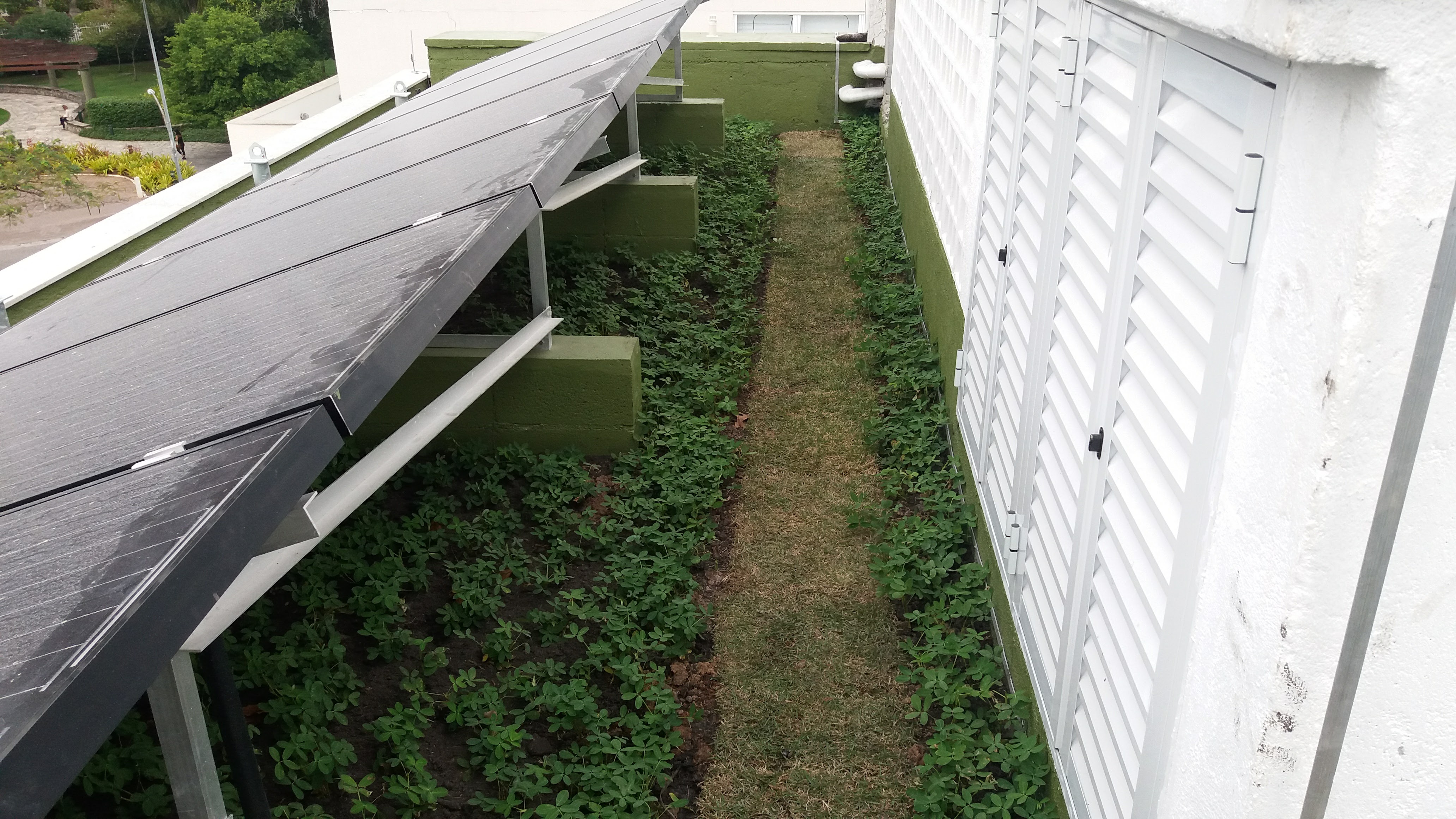 Telhado Verde BRASAS_Barra 6.jpg