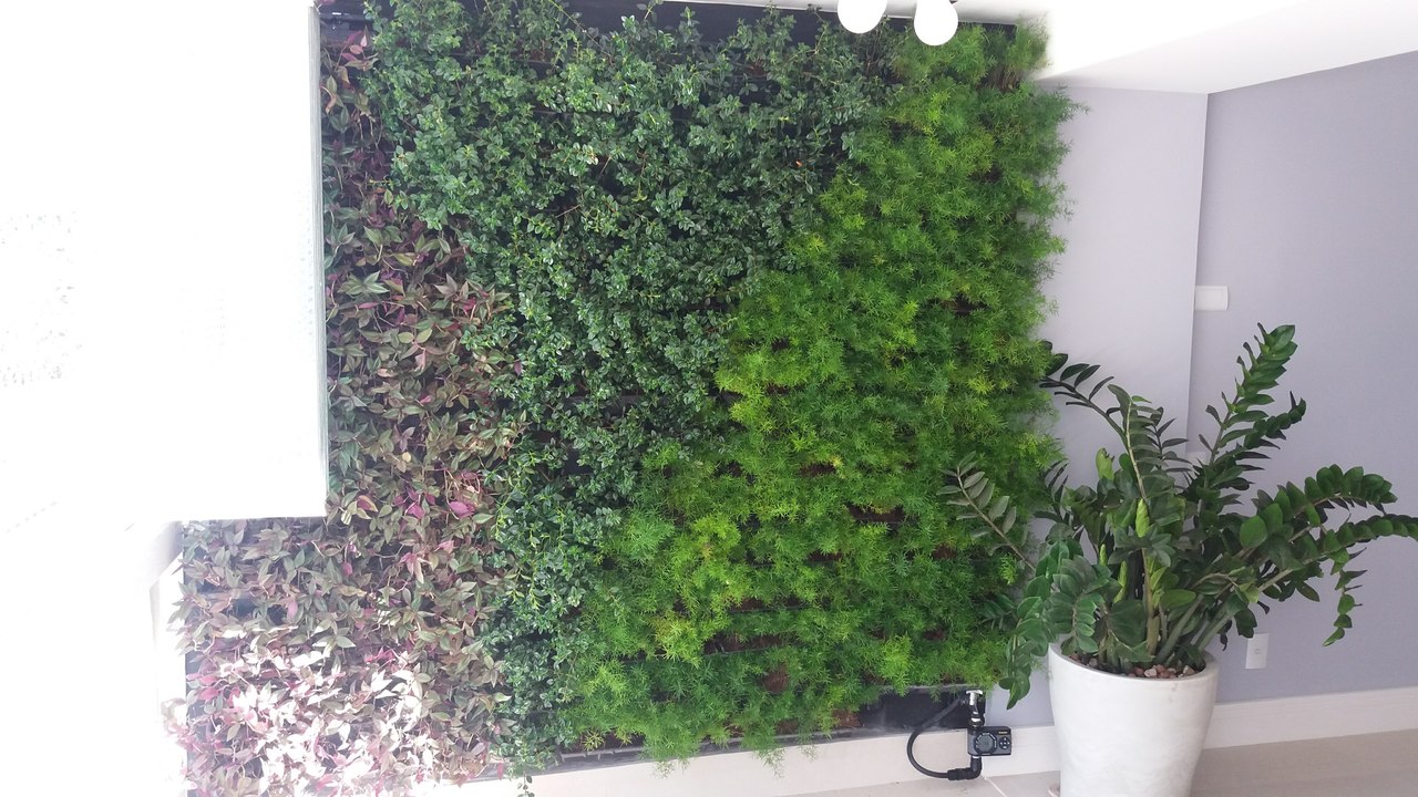 Parede Verde_Residência Cond. Riviera dei Fiori_Barra 2.jpg