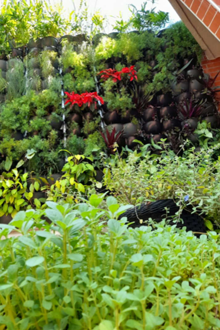Jardim vertical_Centro.png