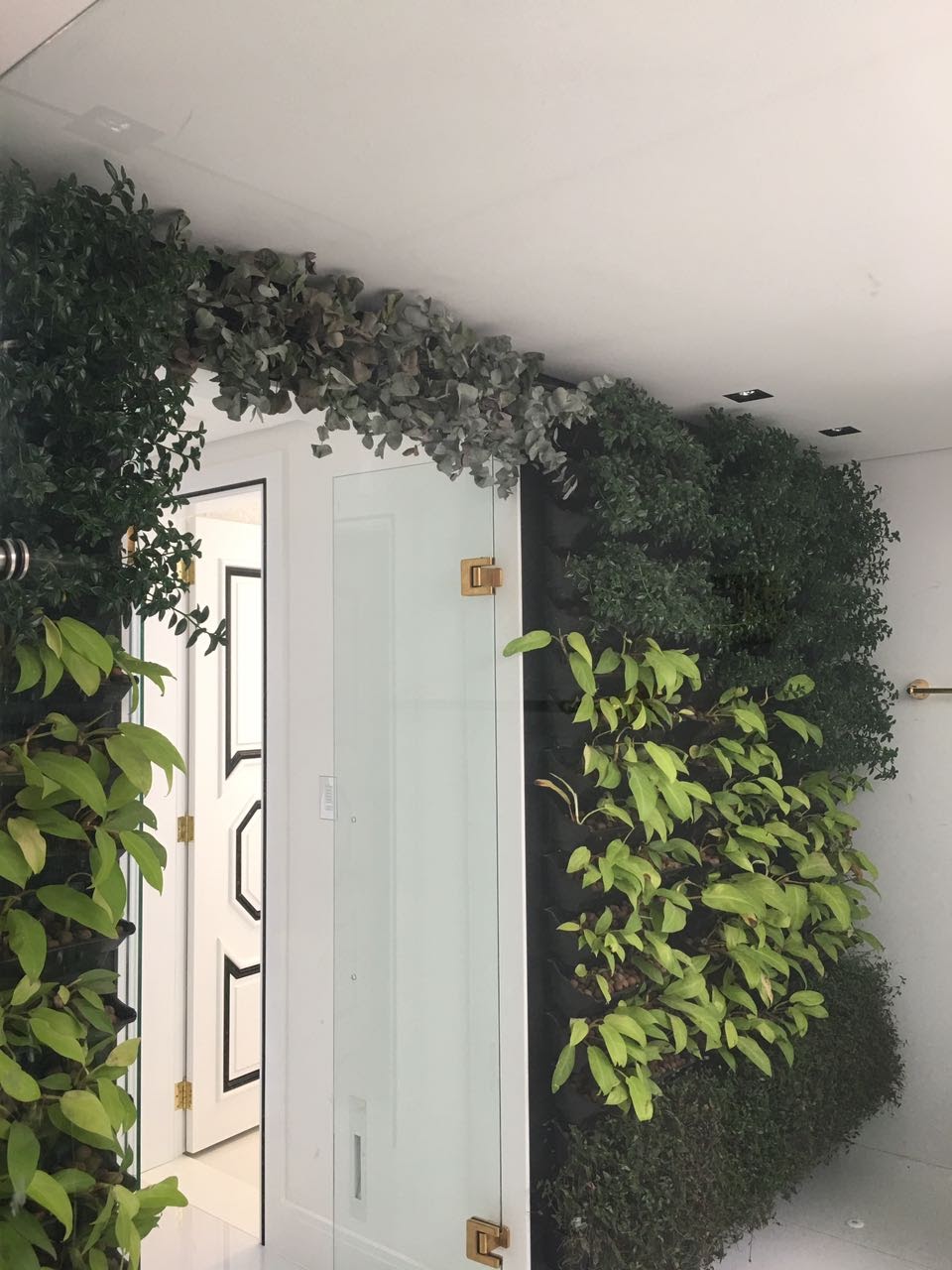 Parede Verde_Residência Av. Atlântica_Copacabana 1.jpg