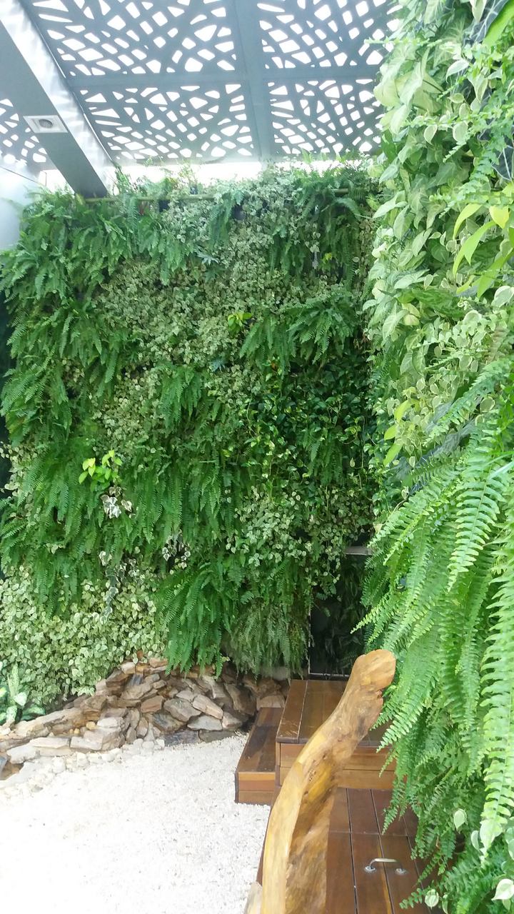 Parede Verde_Hospital São Lucas 11.jpg