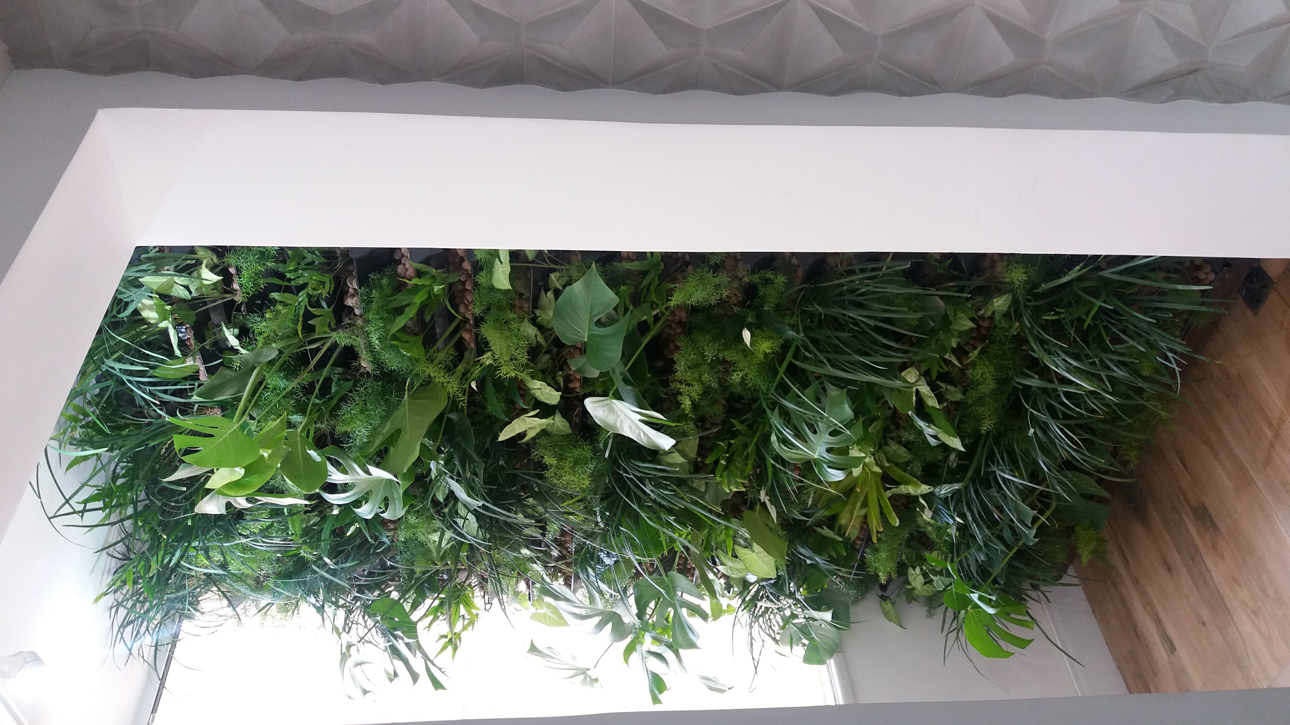 Parede Verde_Residência_Praia de Botafogo 1.jpg