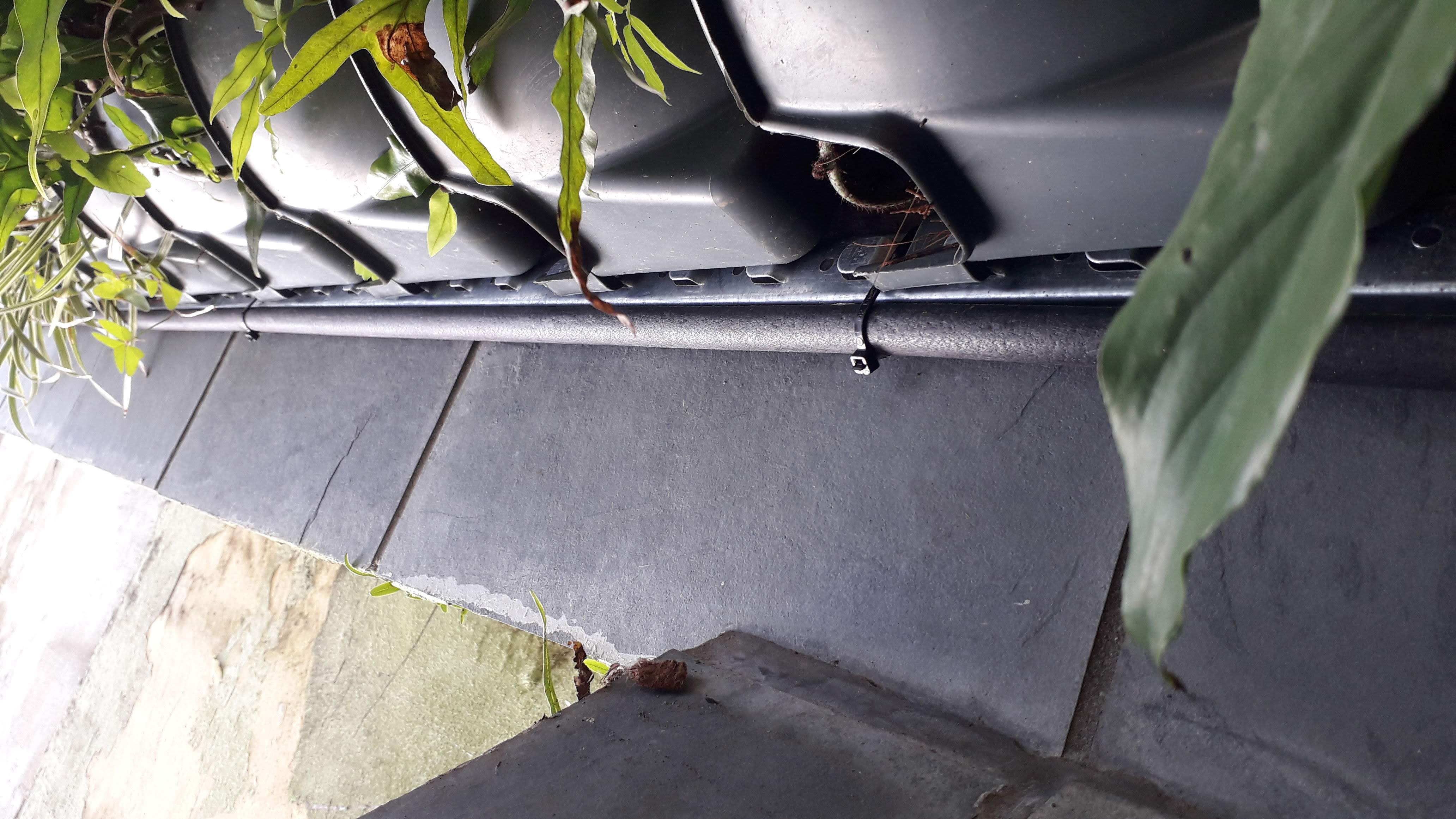 Irrigação_Parede Verde 1.jpg