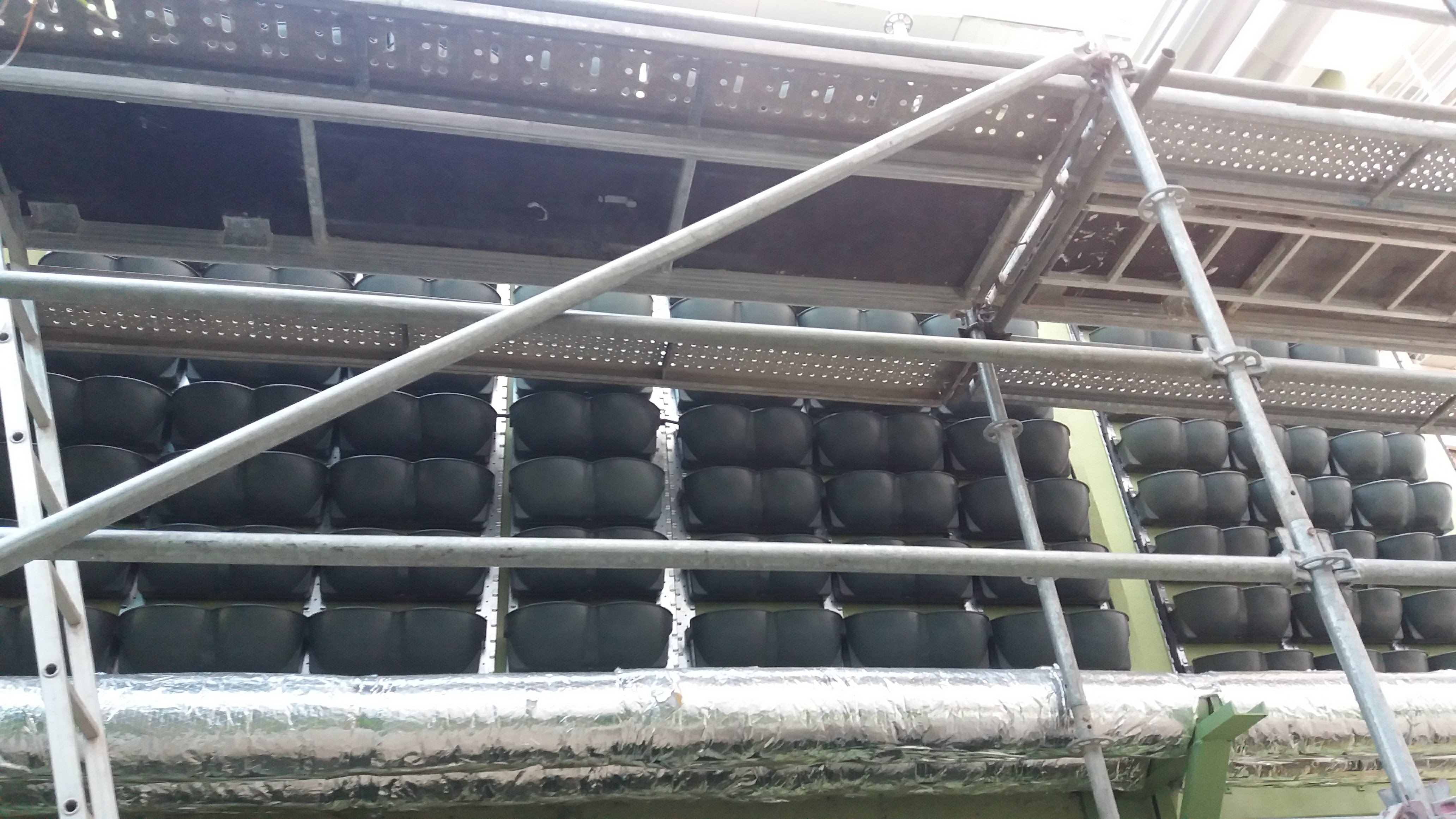 Parede Verde_Hospital São Lucas 9.jpg