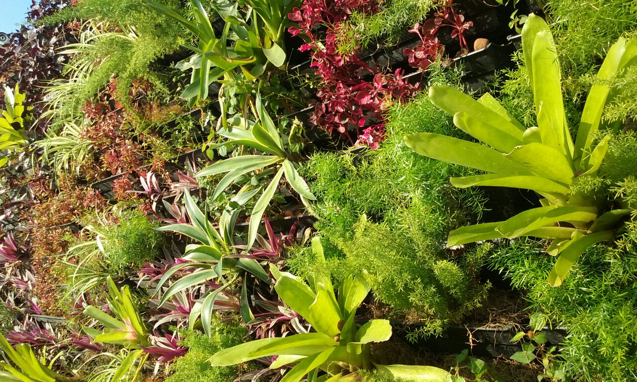 Parede Verde_Cond. Alphagreen residence Club_Recreio 3.jpg