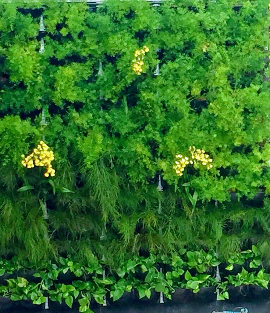 Parede Verde_Residência Cond. Jardim Pernambuco_Leblon 2.jpeg