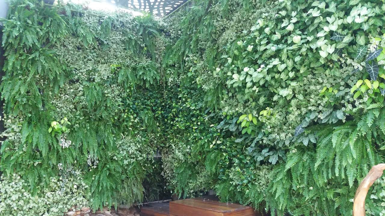 Parede Verde_Hospital São Lucas 12.jpg