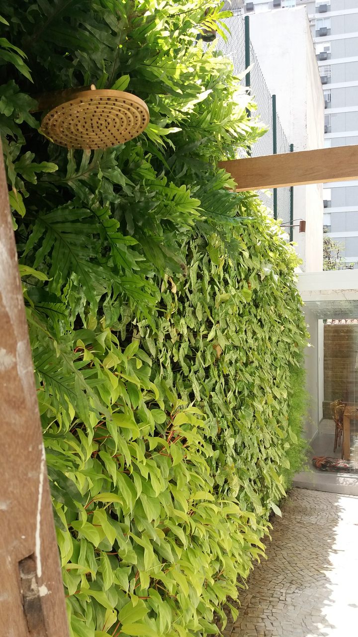 Parede Verde_Residência_ Leblon 1.jpg