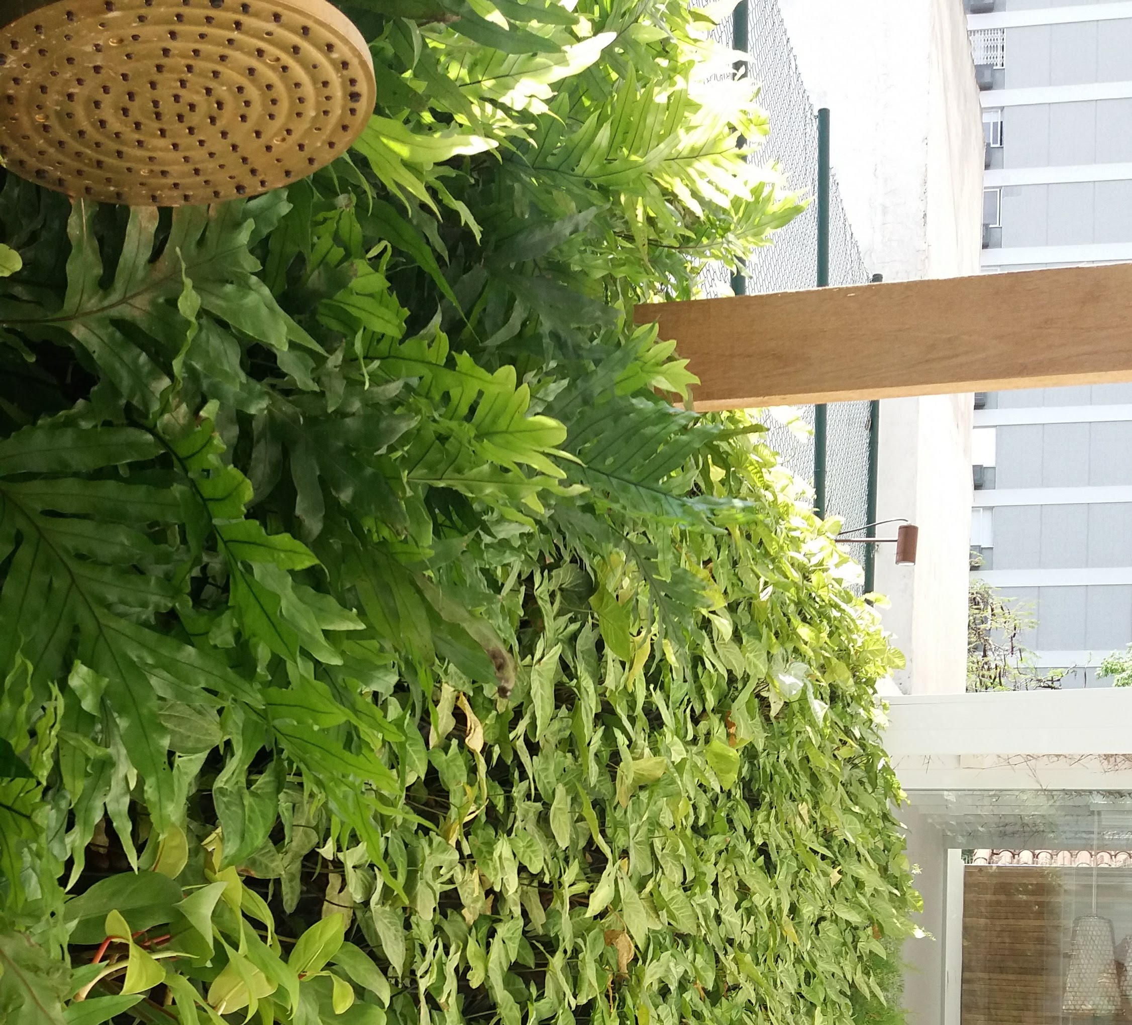 Parede Verde_Residência_ Leblon 2.jpg