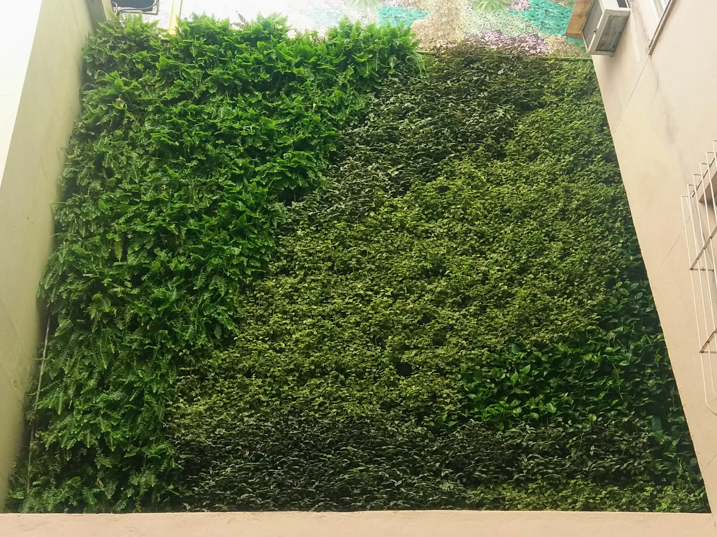 Parede Verde_Hospital São Lucas 5.jpg