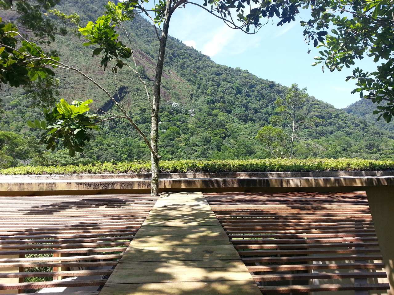 Telhado Verde_Magé 4.jpg