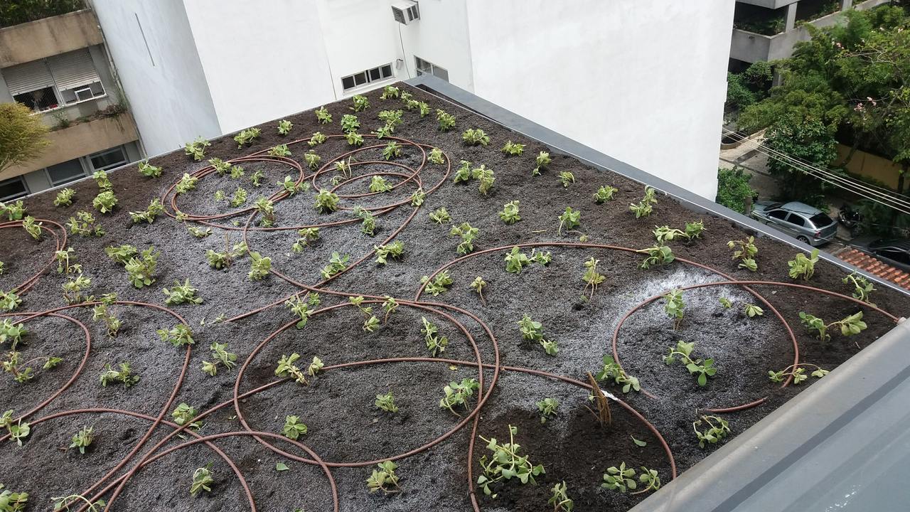 Telhado Verde_Gávea 4.jpg