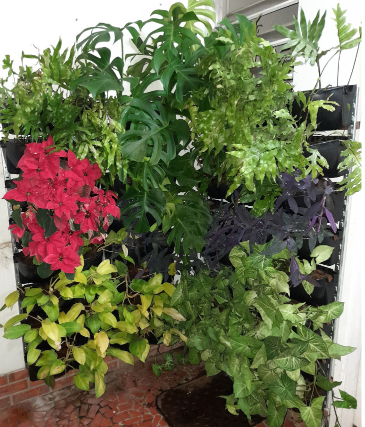 Jardim vertical_Icaraí.png