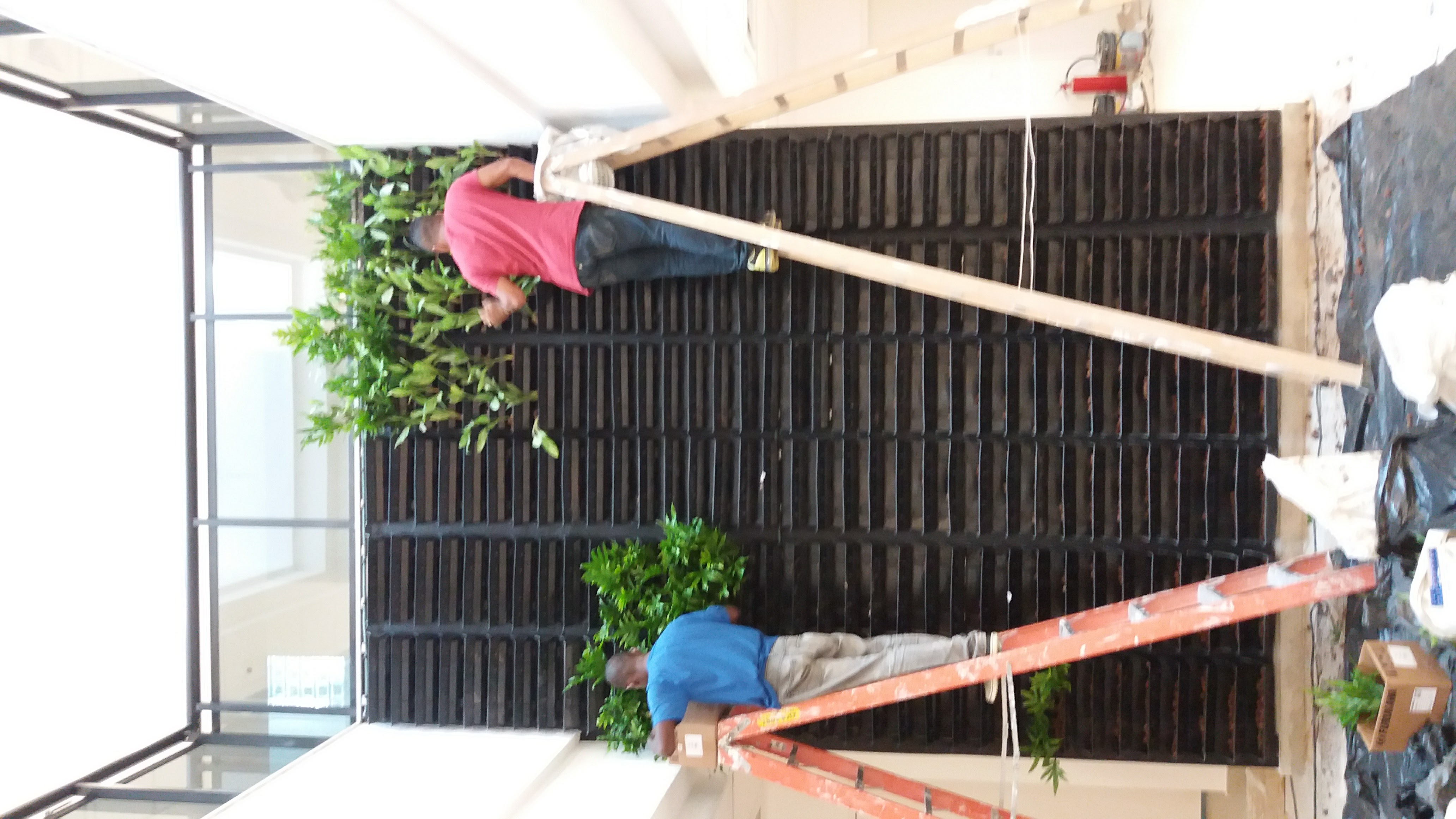 Parede Verde_Fundação Getúlio Vargas 2.jpg