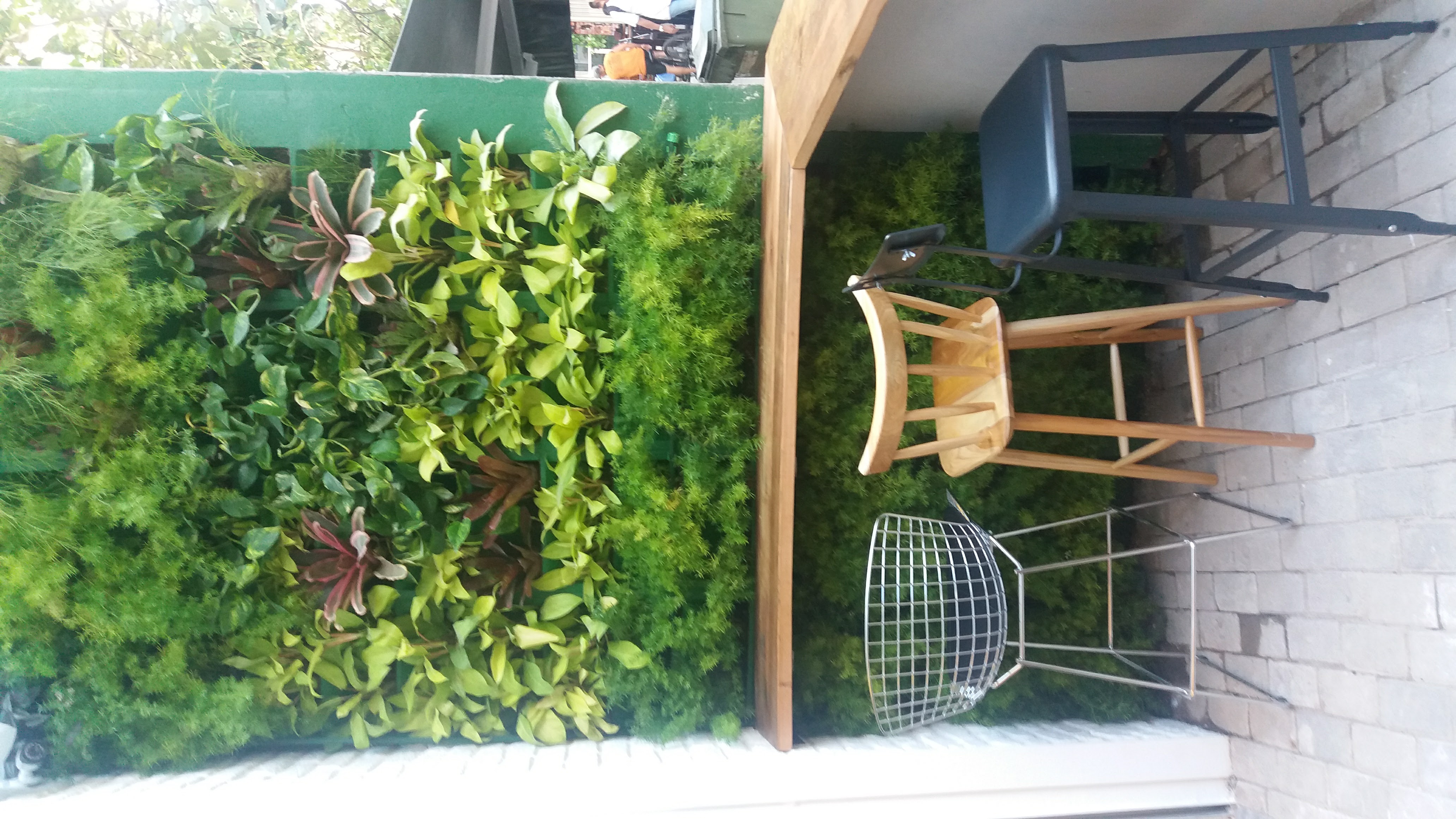 Parede Verde_Fachada Hamburgueria_Icaraí 2.jpg