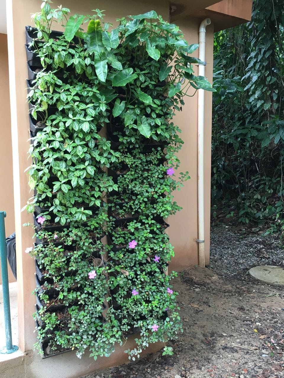 Parede Verde_Jardim Botânico.jpg