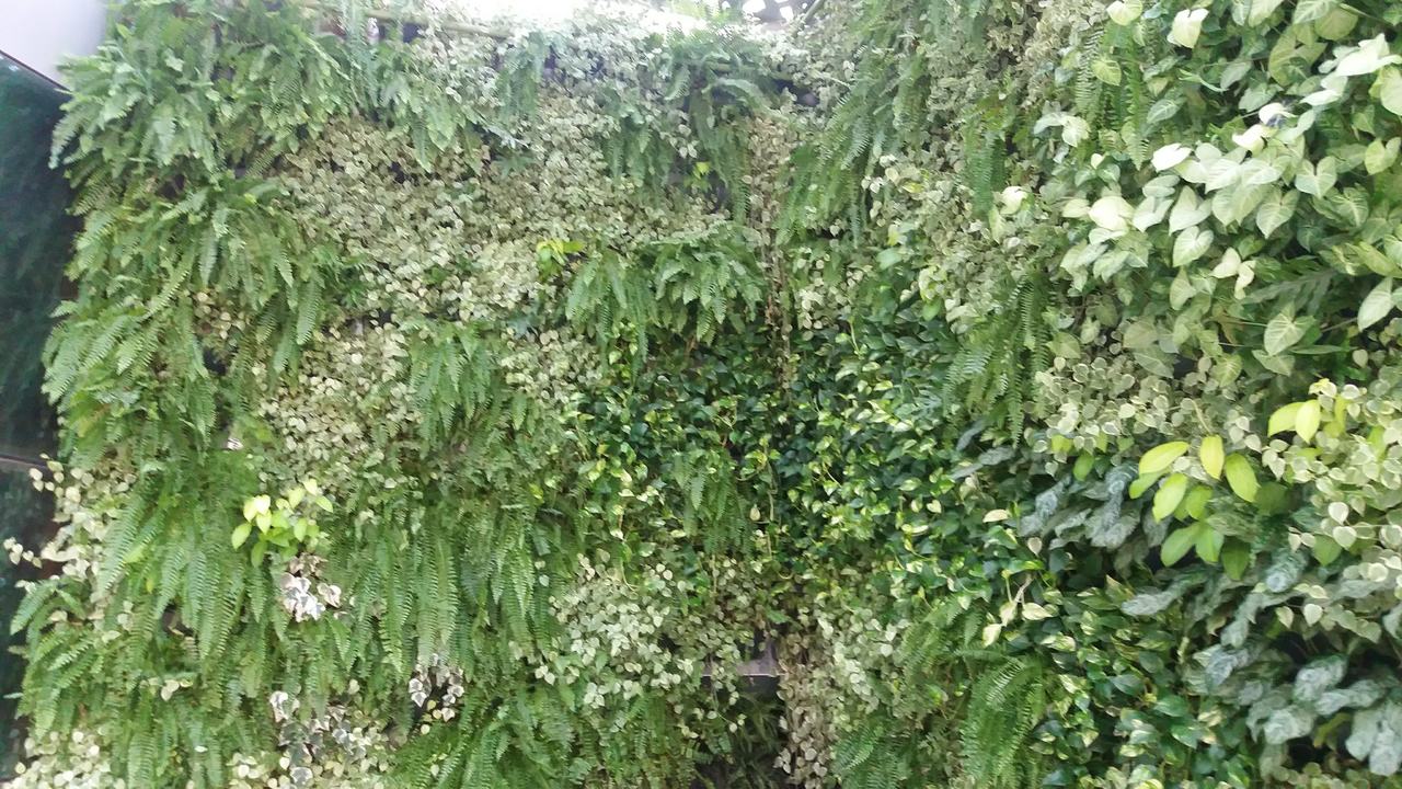 Parede Verde_Hospital São Lucas 10.jpg