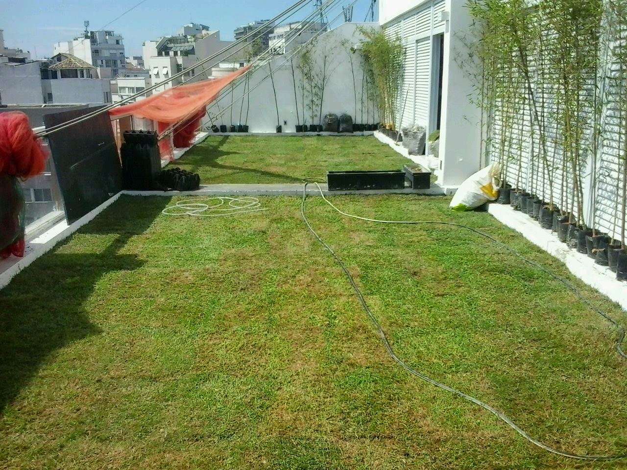 Telhado Verde BRASAS_Barra 3.jpg