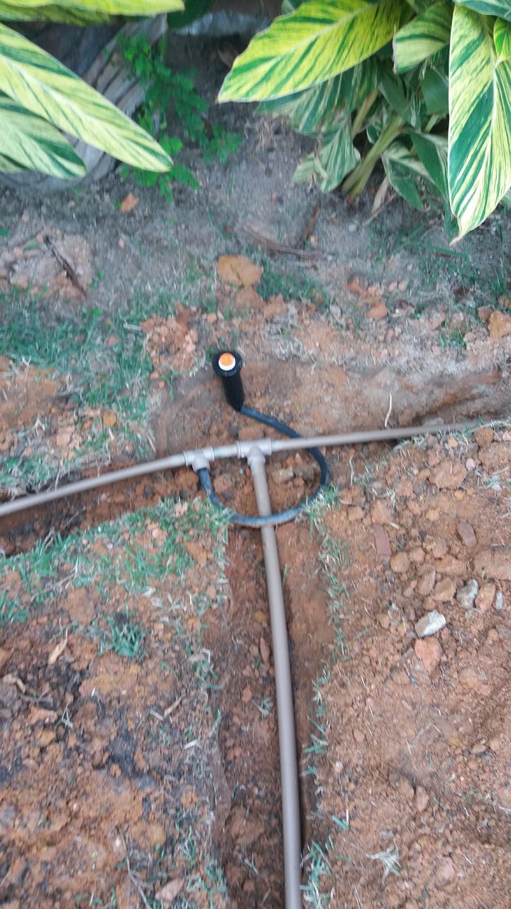 Irrigação_Jardim Guanabara 8.jpg