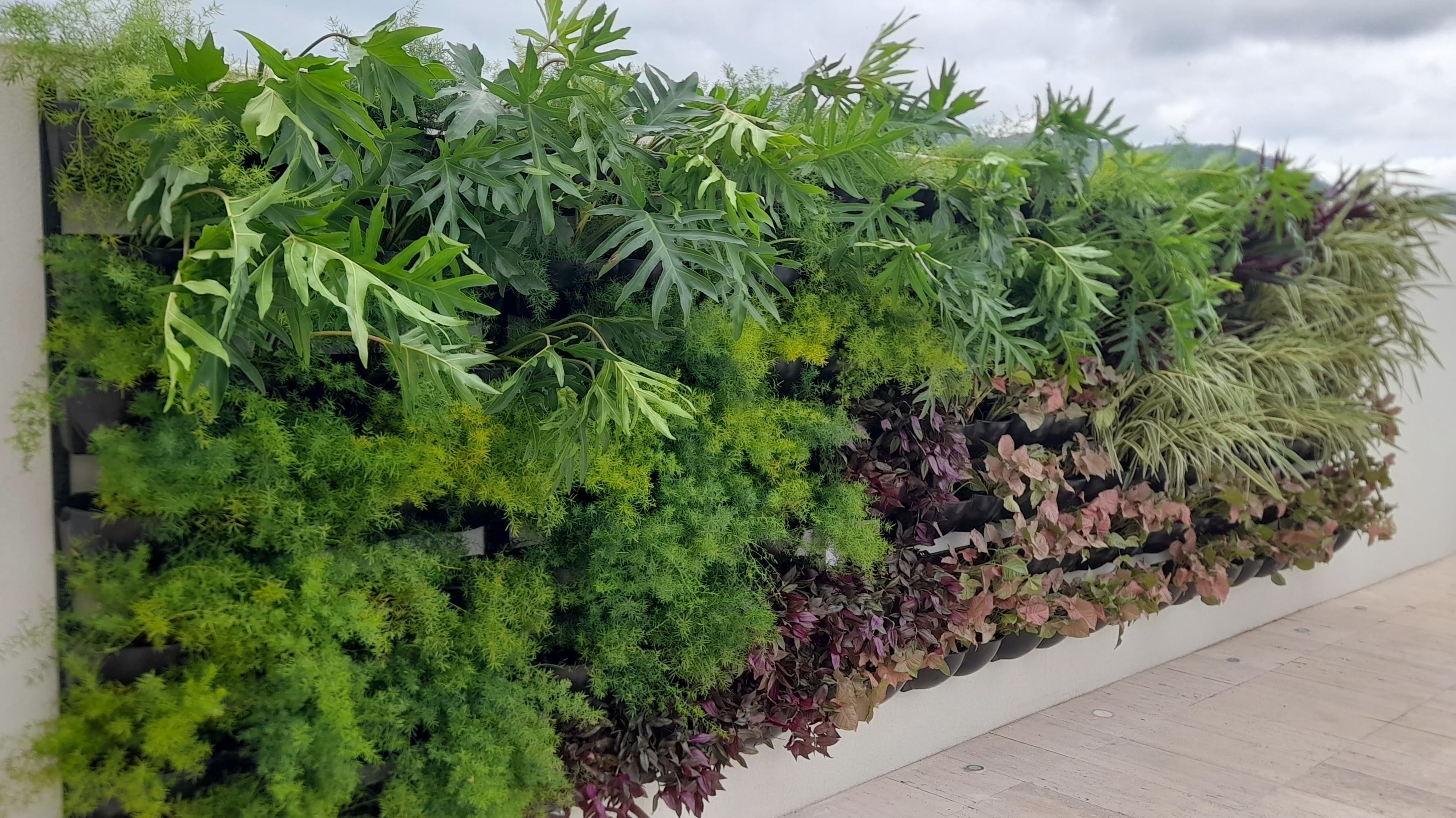 Jardim vertical_Barra (2).jpg