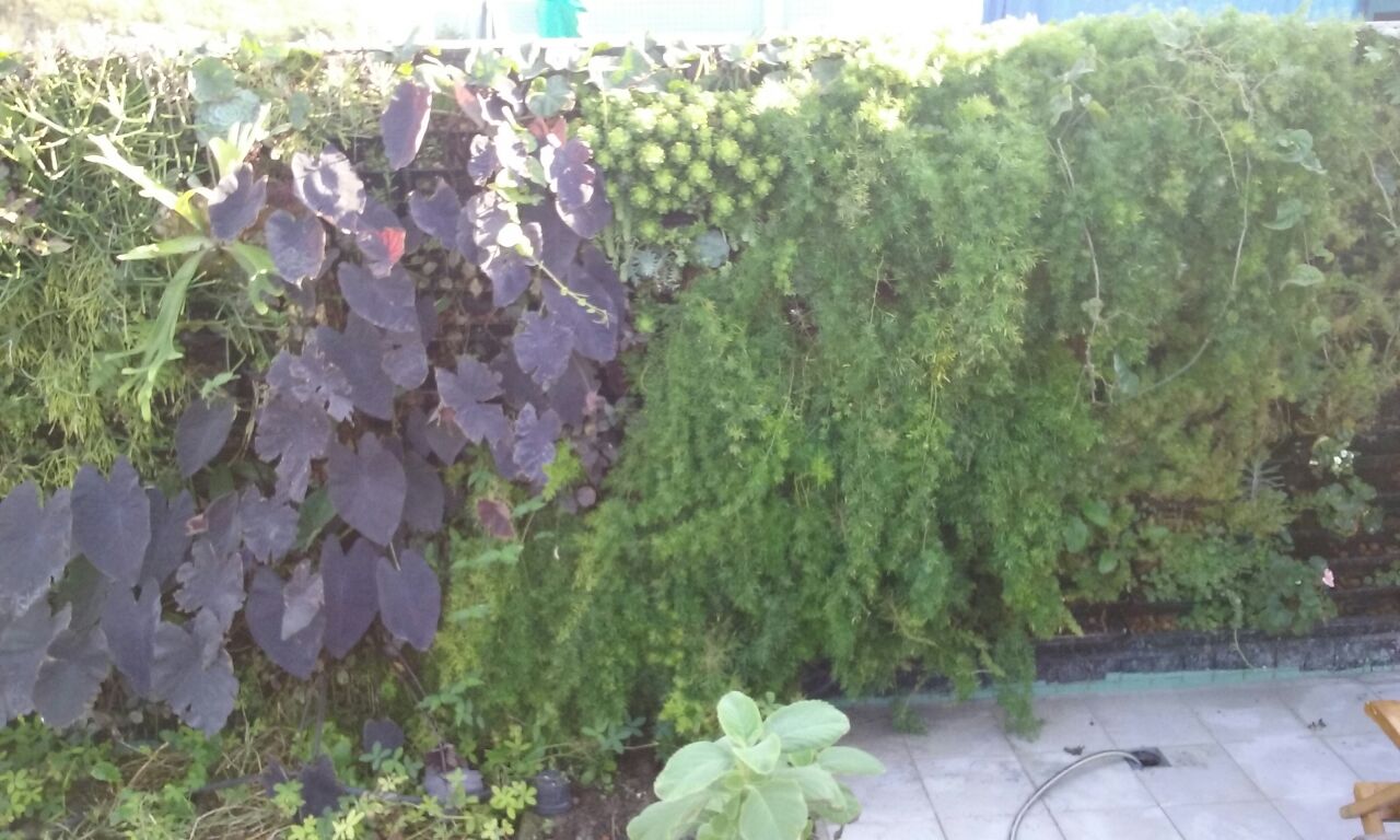 Parede Verde_Residência Cond. Pontal da Areia_Recreio 2.jpg