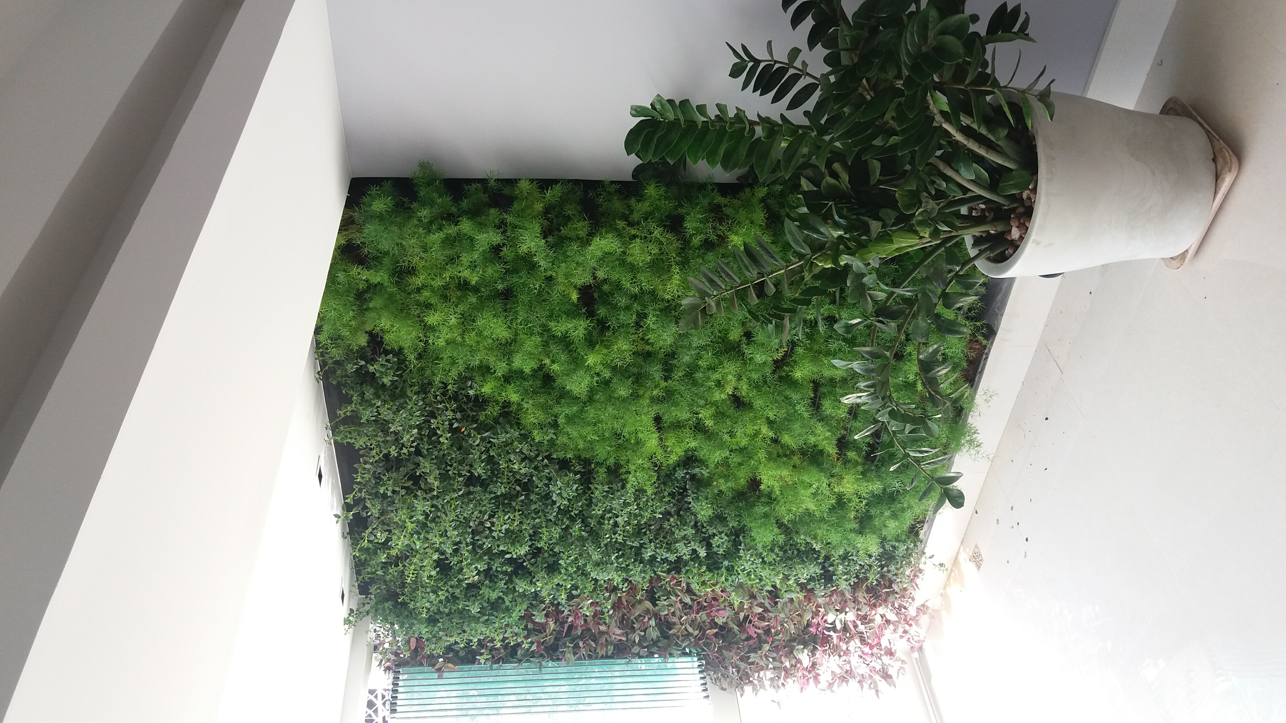 Parede Verde_Residência Cond. Riviera dei Fiori_Barra 1.jpg