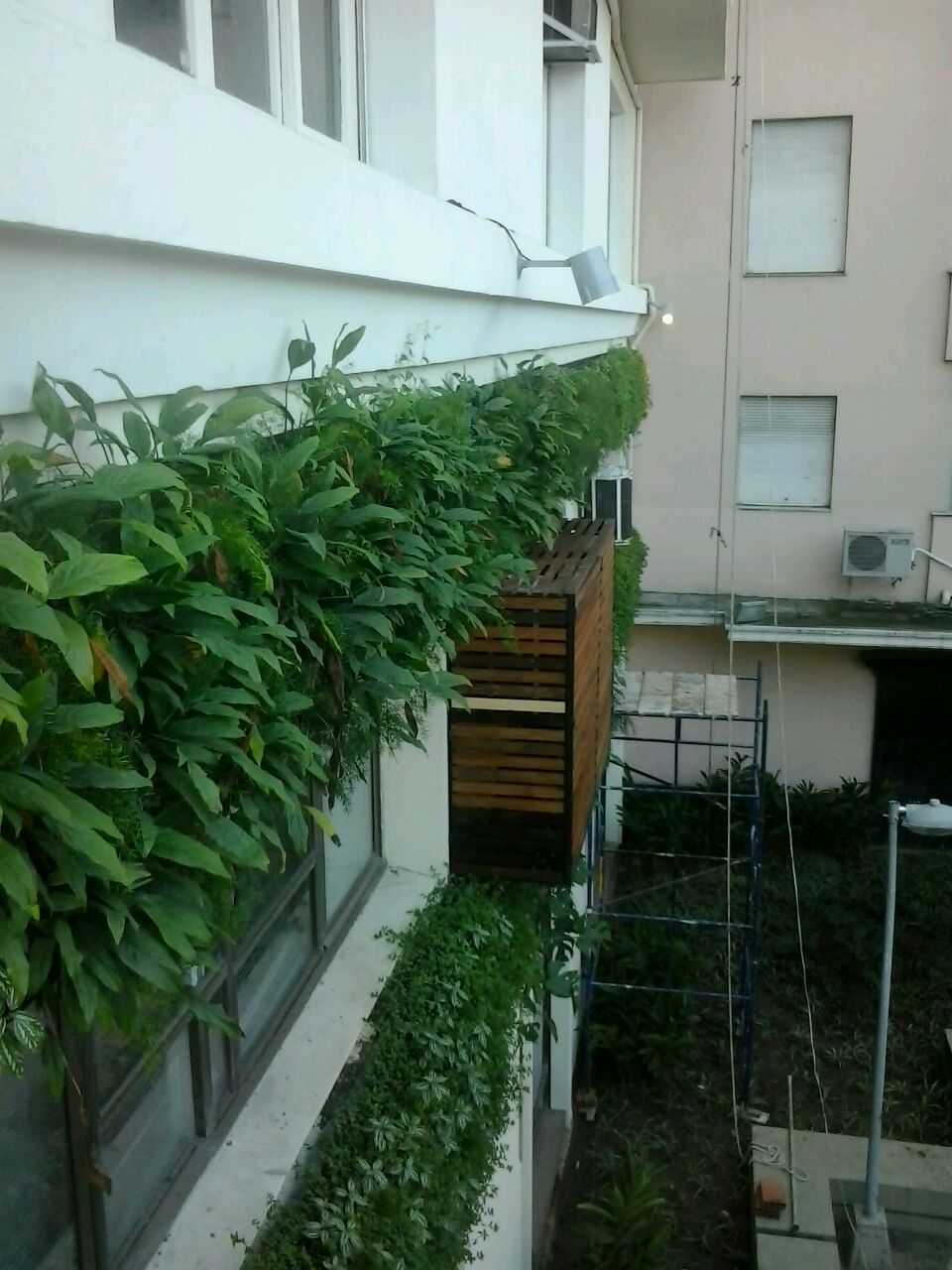 Parede Verde_Consulado Italiano 13.jpg