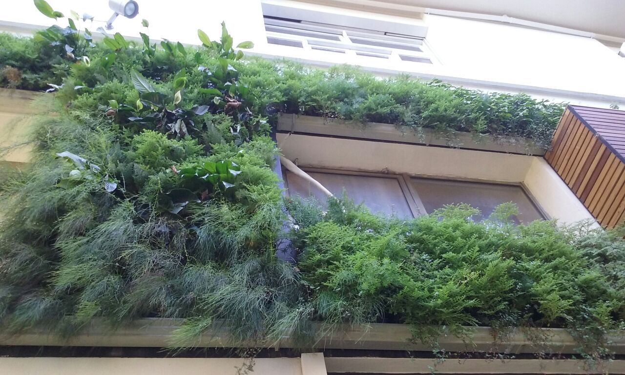 Parede Verde_Consulado Italiano 10.jpg