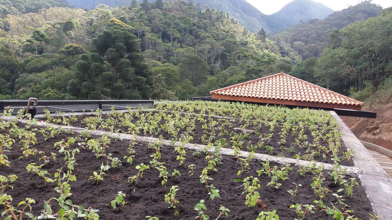 Telhado Verde_Petrópolis 3.jpg