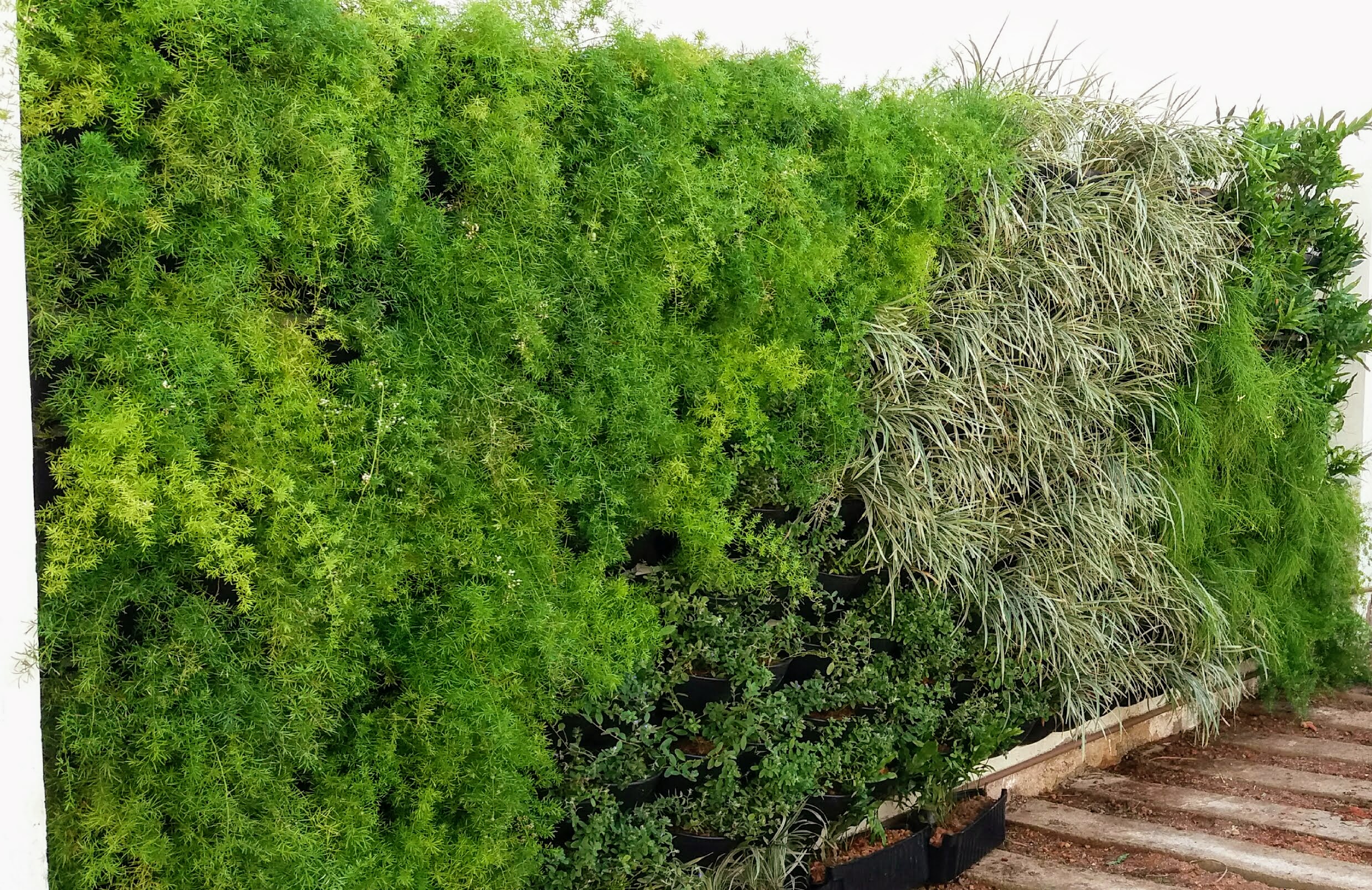 Parede Verde_Firjan_SENAI_SESI_ Maracanã 1.jpg