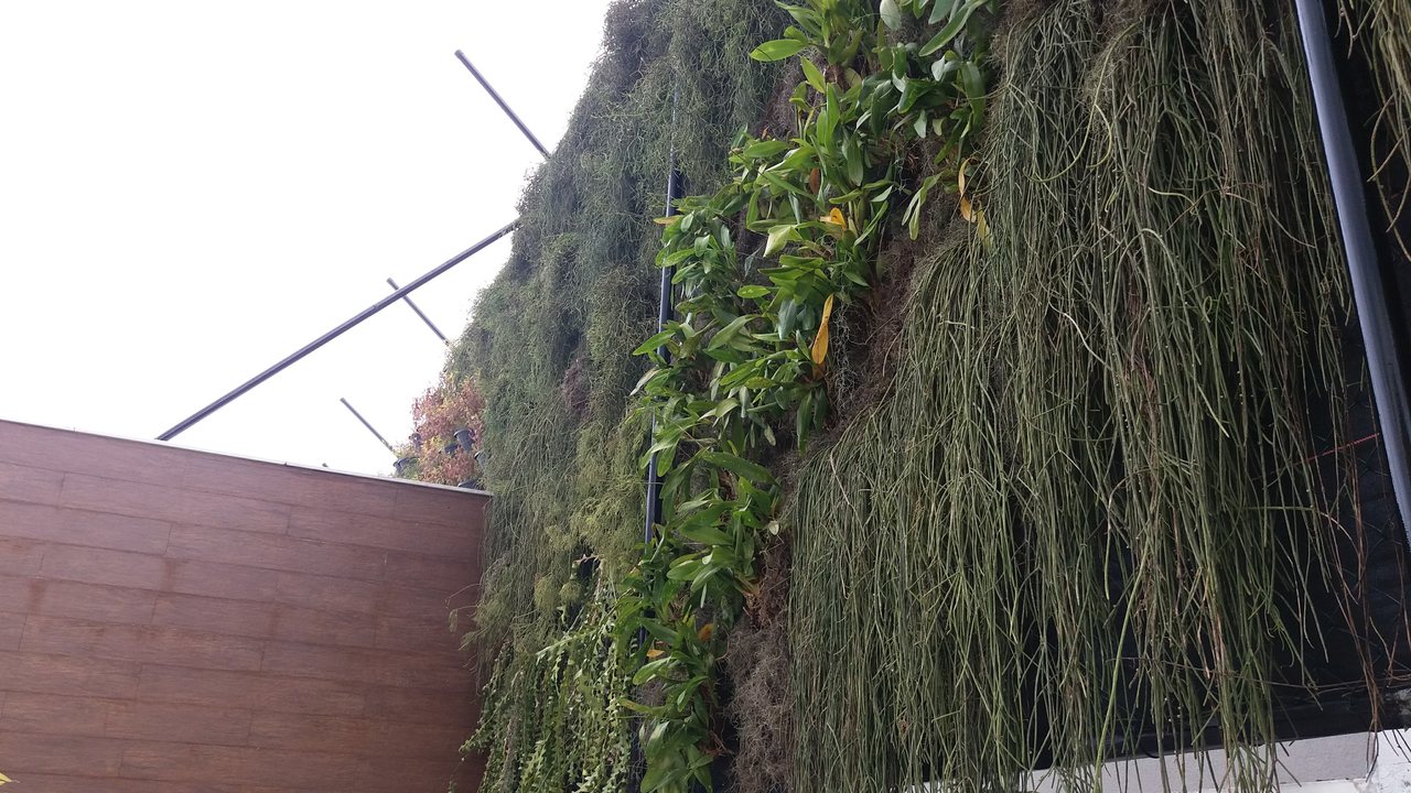 Parede Verde_Residência Cond. Lagoa Mar Sul_Barra 2.jpg