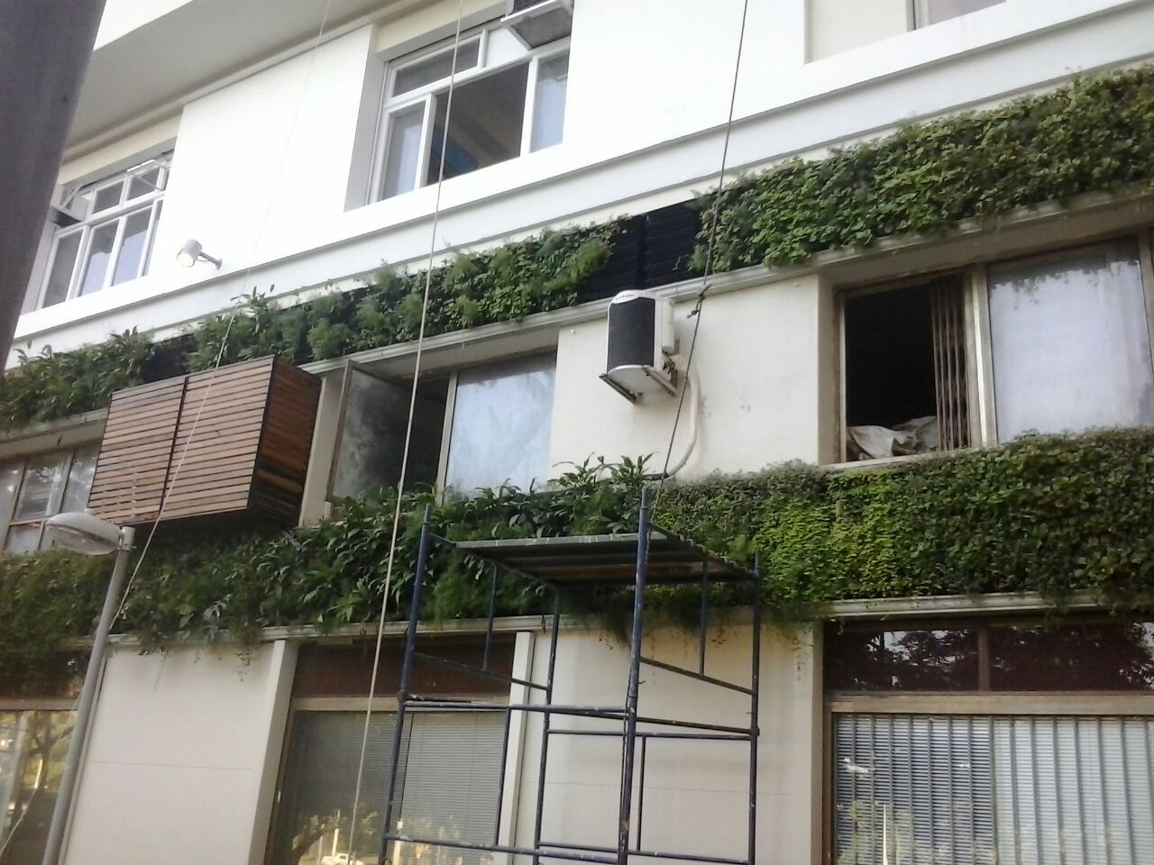 Parede Verde_Consulado Italiano 6.jpg