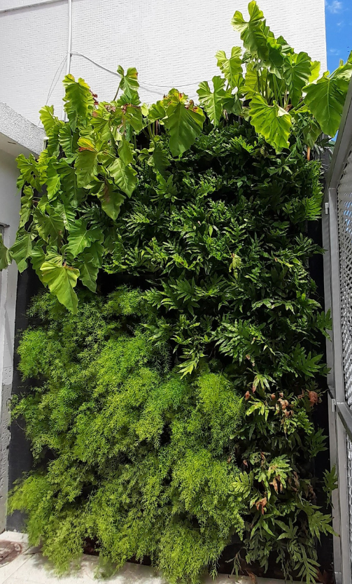 Jardim Vertical_Laranjeiras.png