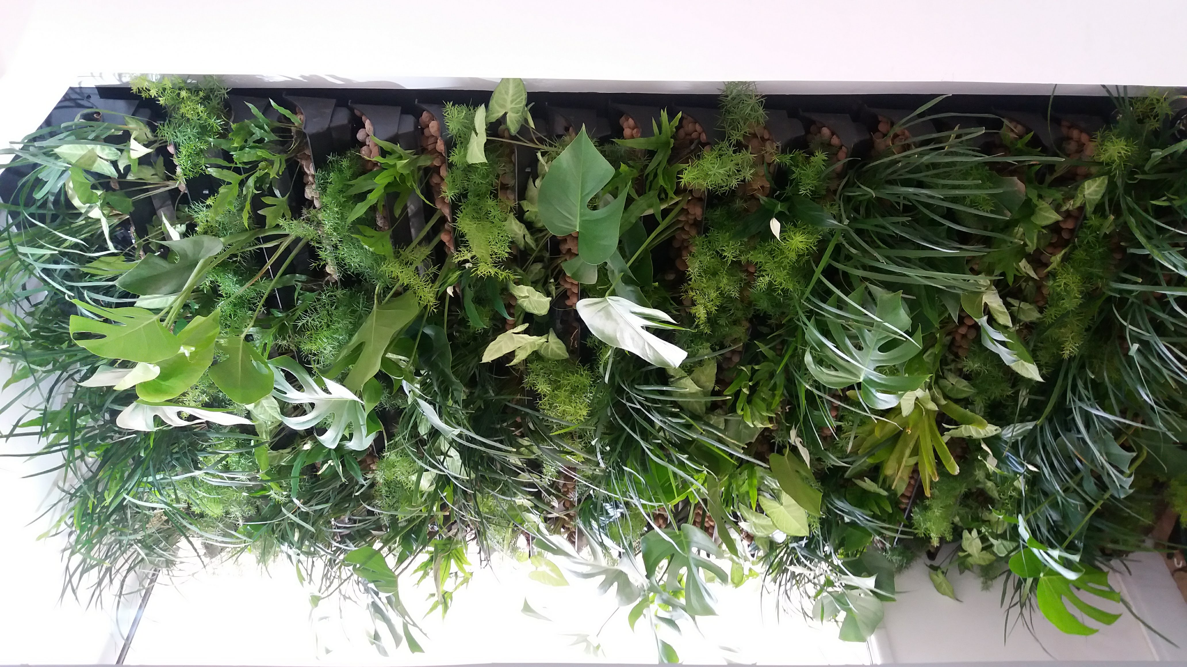 Parede Verde_Residência_Praia de Botafogo 2.jpg