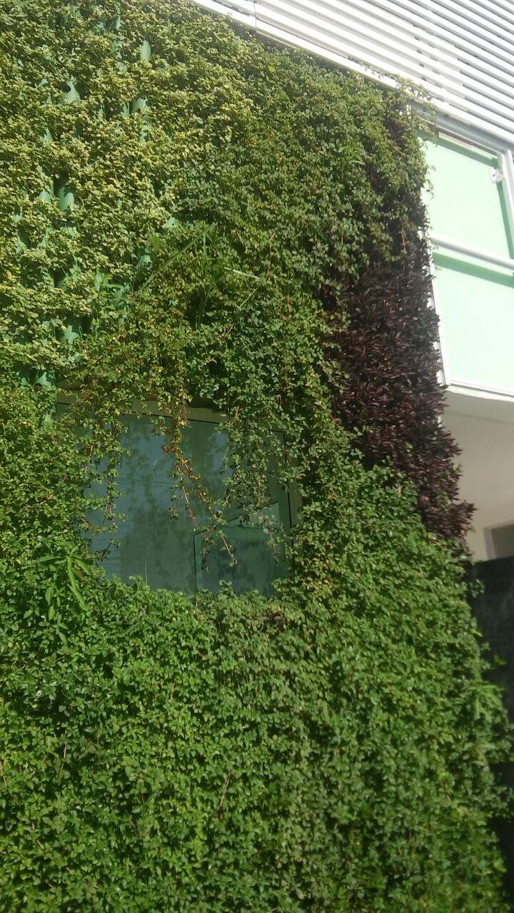Parede Verde_Cond. Florence Residencial_Fonseca 2.jpg