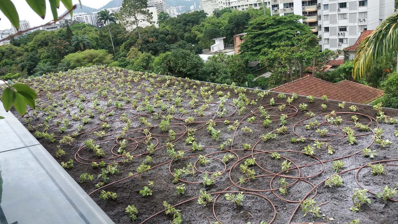 Telhado Verde_Gávea 3.jpg