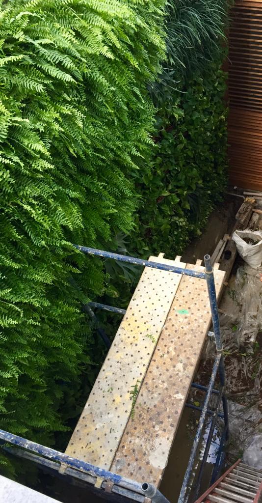 Parede Verde_Residência Cond. Jardim Pernambuco_Leblon 5.jpeg