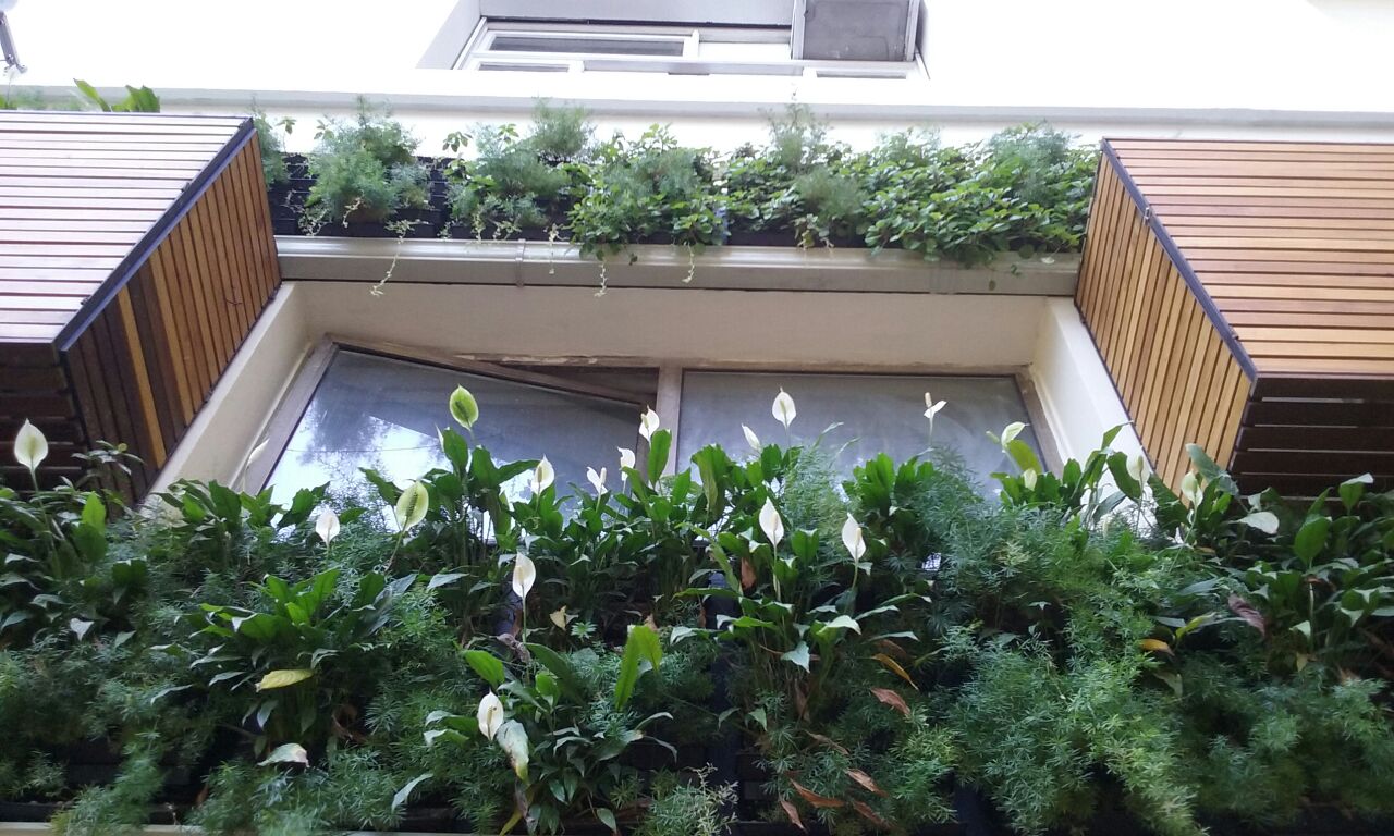 Parede Verde_Consulado Italiano 9.jpg