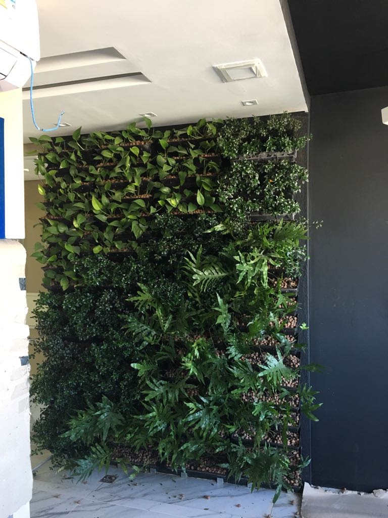 Parede Verde_Escritório_advocacia 2.jpg